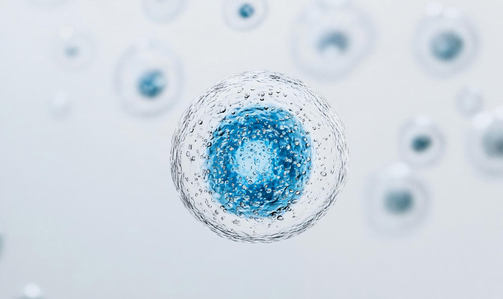 Cellular Medicine Meets Light: Was Zellen gesund hält