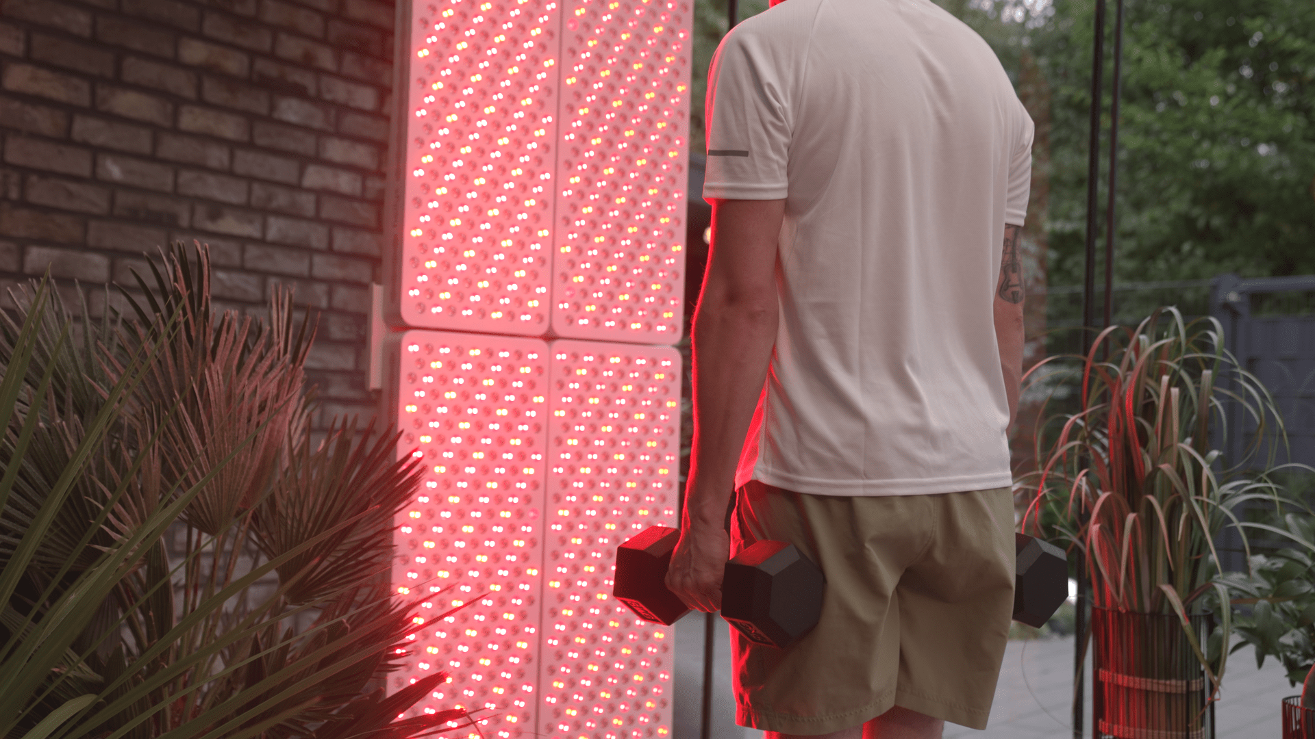 Still_2024-11-14_113913_8.2.1-min.png